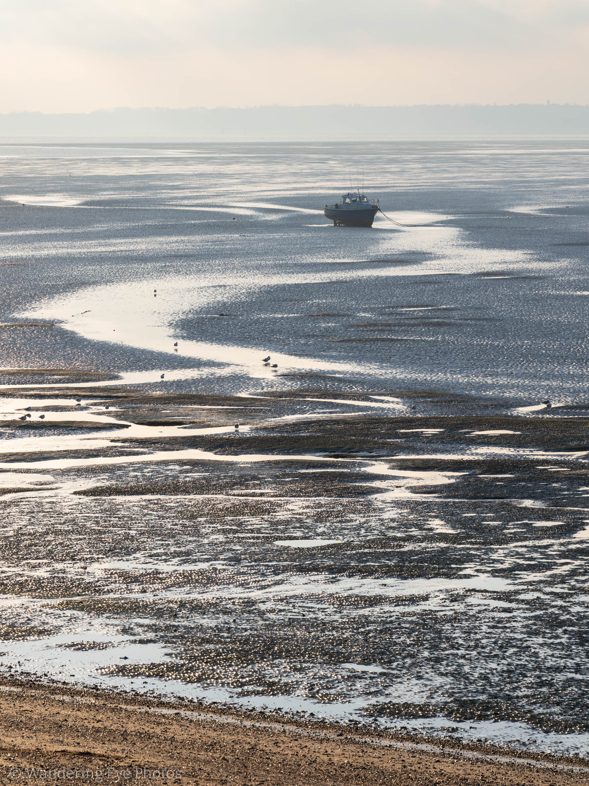 01.05 09.19.20   DSC01953